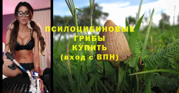 спайс Михайлов