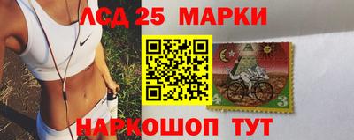 амф Донской